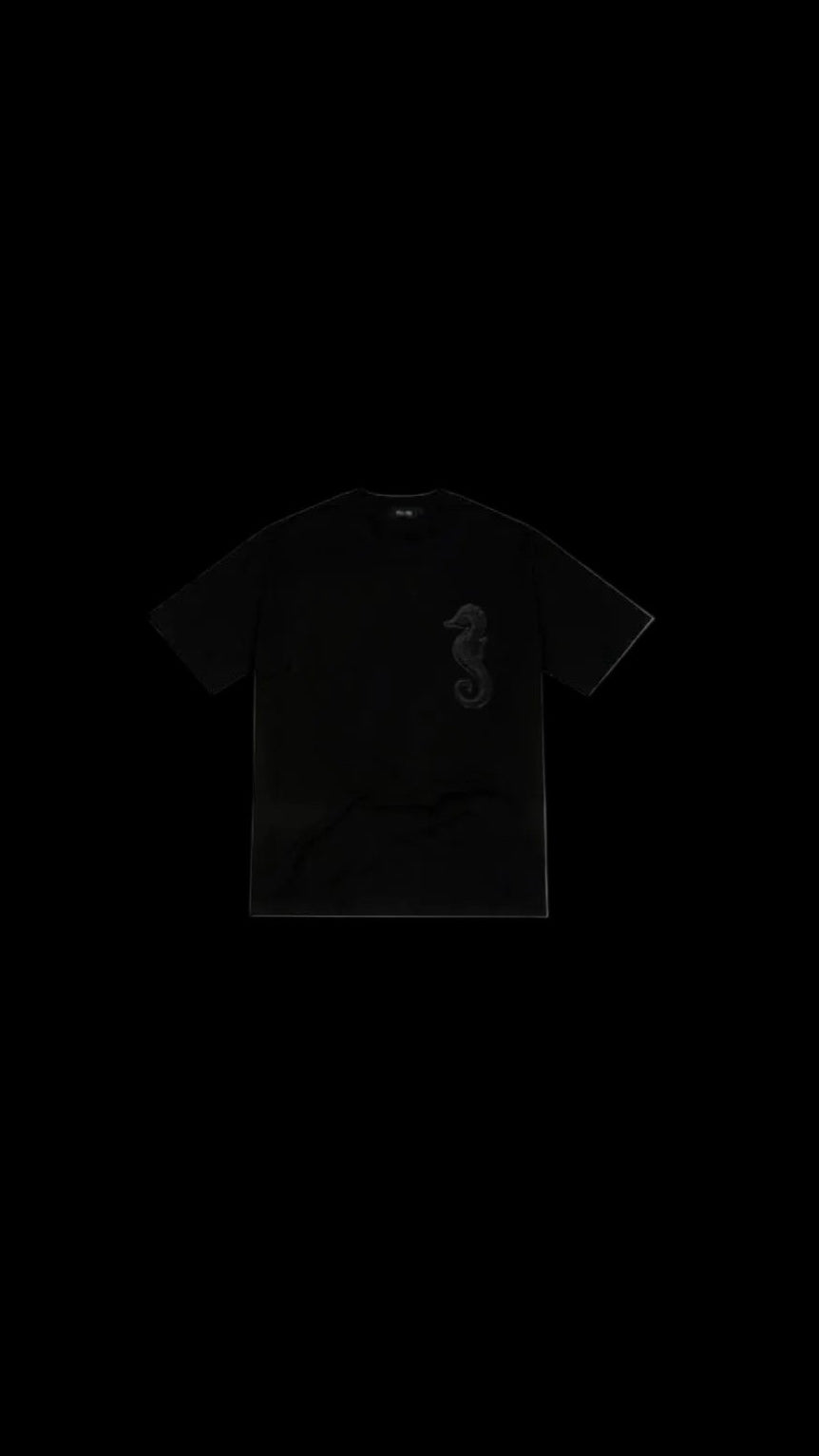 Patience shirt of summer set